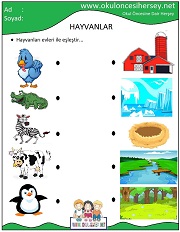 Hayvanları Evleri İle Eşleştir